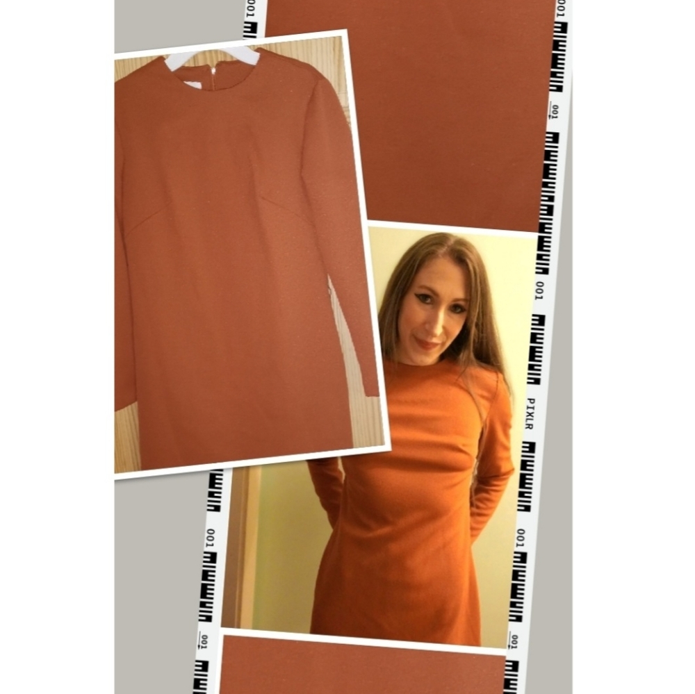 Size Medium 1960s Vintage Rust Colored Mini Dress